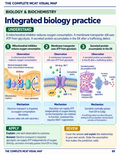 Study page: Integrated biology practice