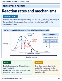 Study page: Reaction rates and mechanisms